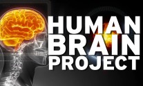 Human Brain Project