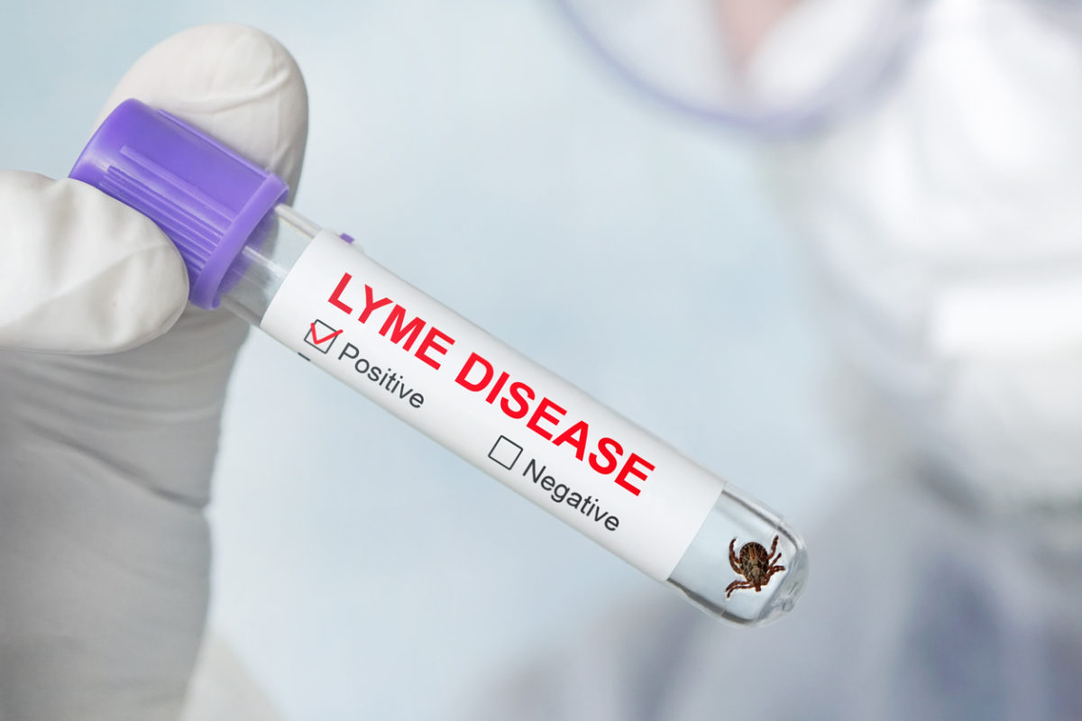 νόσος Lyme