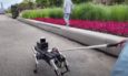 ρομπότ σκύλος οδηγός
