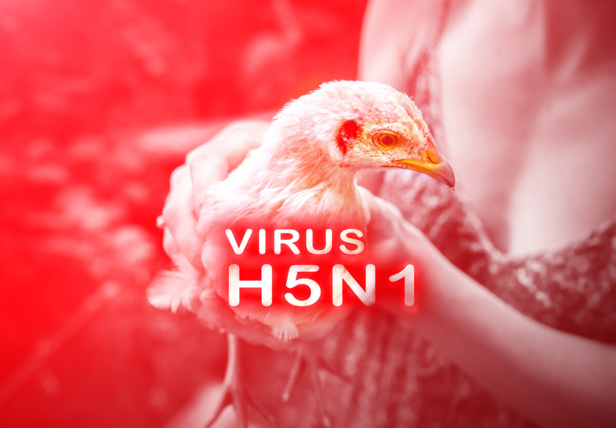 H5N1