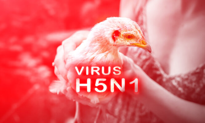 H5N1